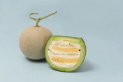 黑料吃瓜网apk普通安装 
