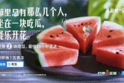 狂飙的文字中文版游戏下载地址官方版 