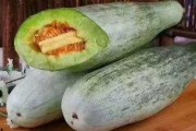 黑料吃瓜网apk普通安装 
